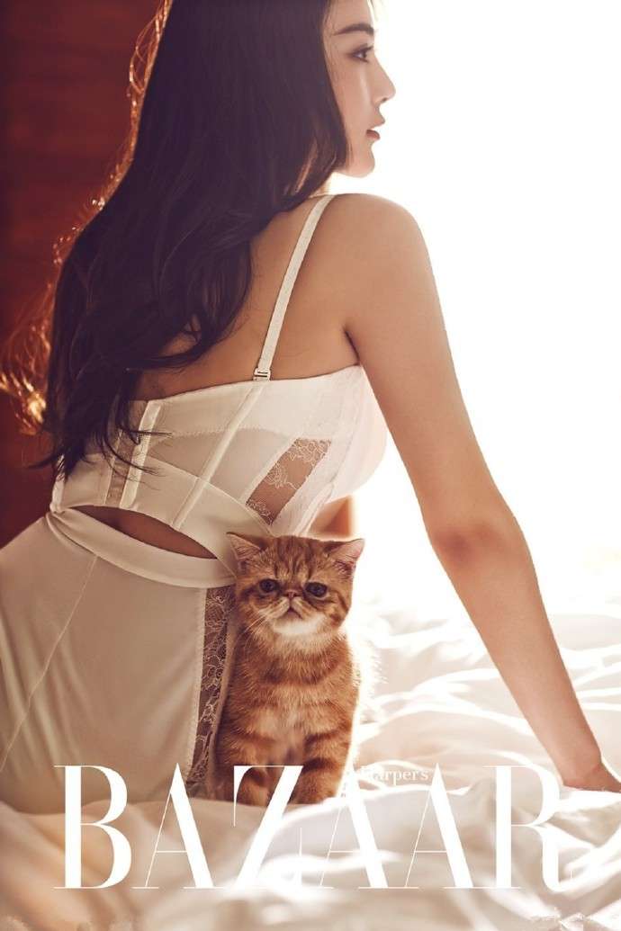 张馨予清新性感抱猫杂志写真图片