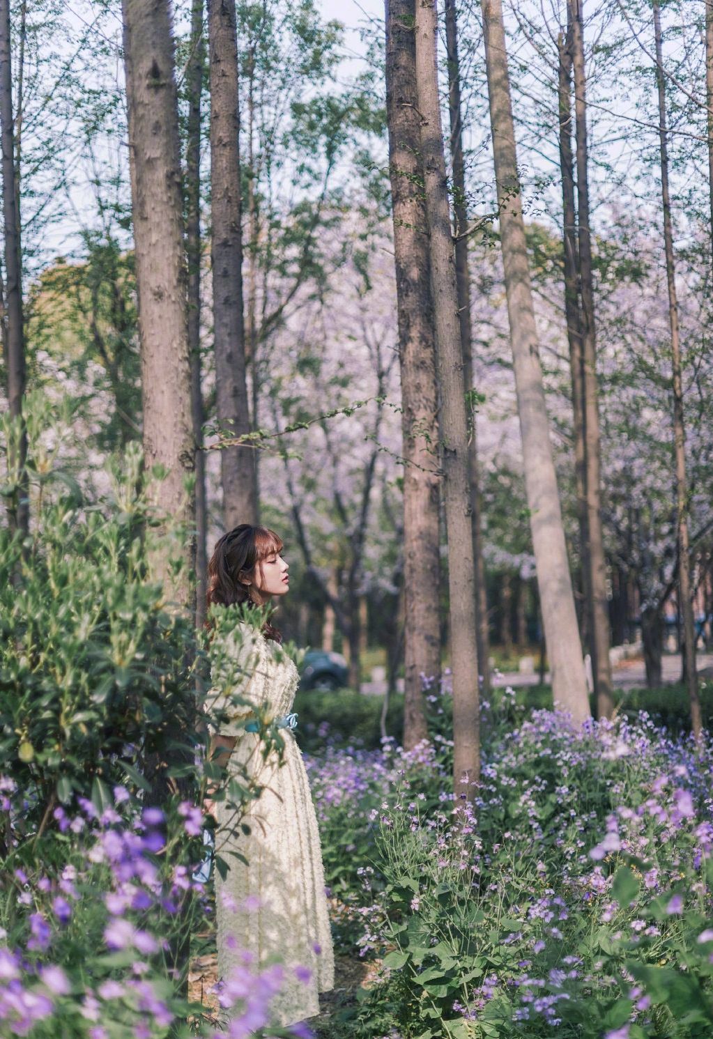 李艺彤花海甜美写真图片