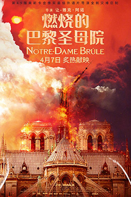 燃烧的巴黎圣母院封面图