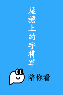 屋檐上的字将军封面图