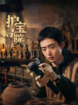 护宝寻踪封面图