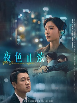 夜色正浓封面图