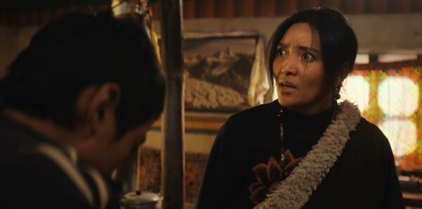 生命树第11集剧照